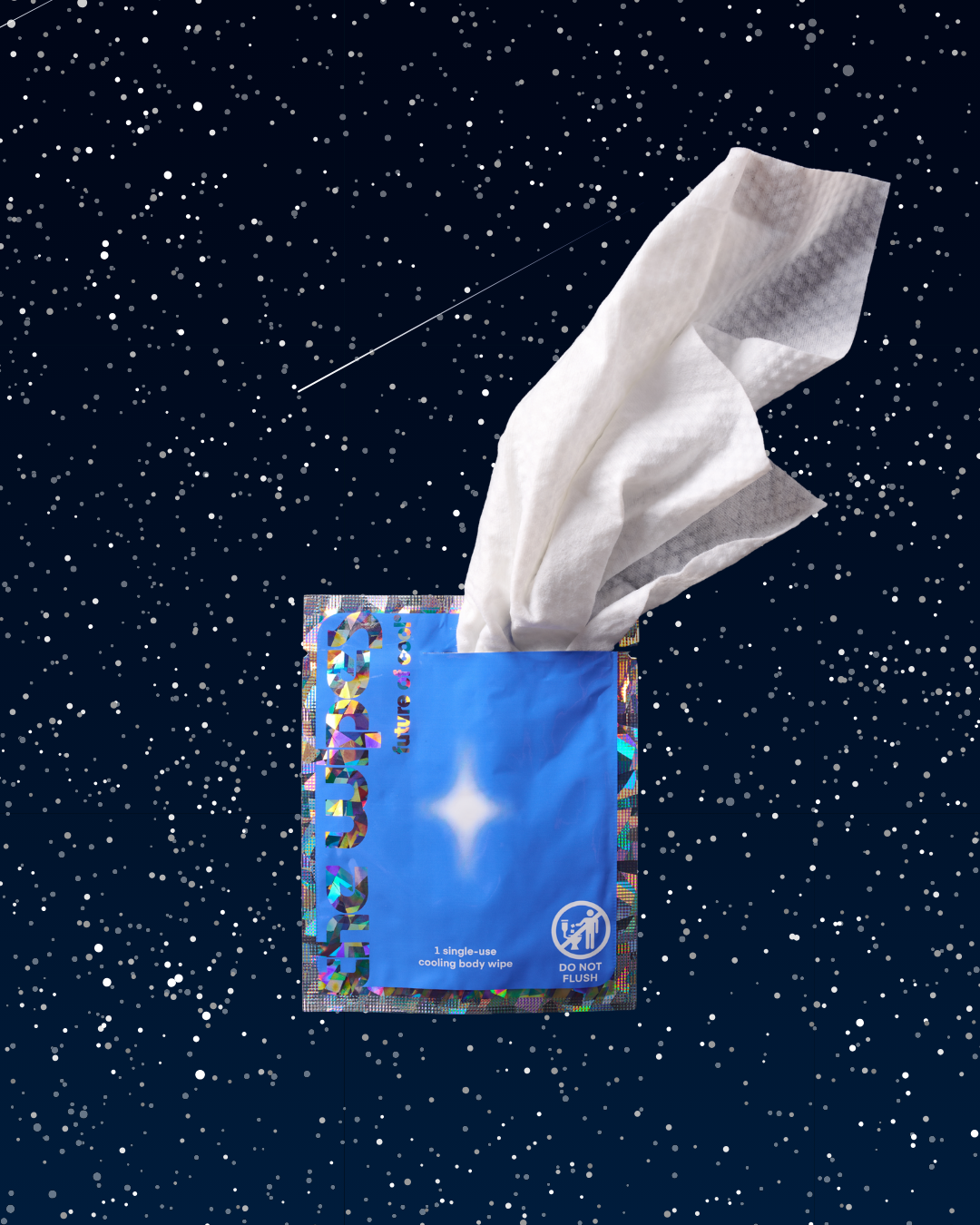 The Wipes